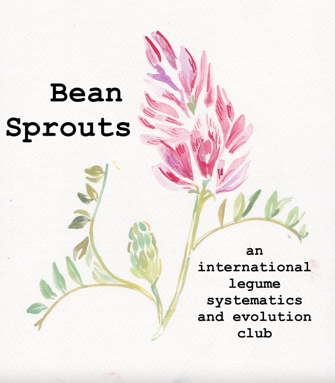 A screenshot of the legume phylogeny working group virtual meeting.