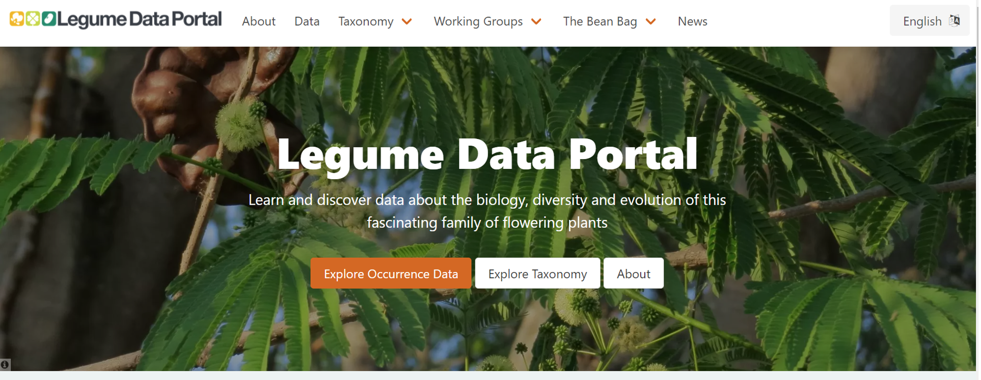 Legume Data Portal 1